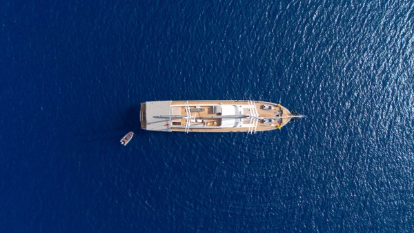 Yelkenli Yat King of the Sea