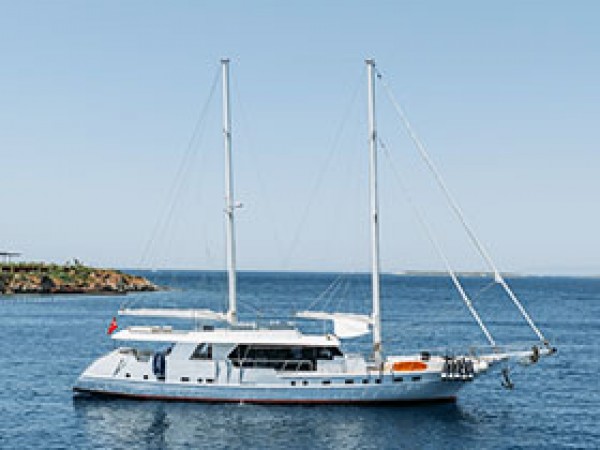 S4 Gulet